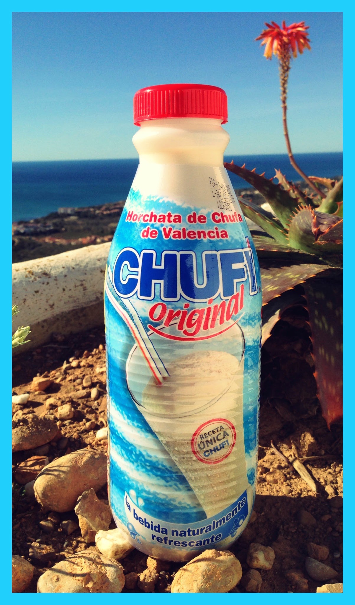 Horchata de Chufa de Valencia Chufy