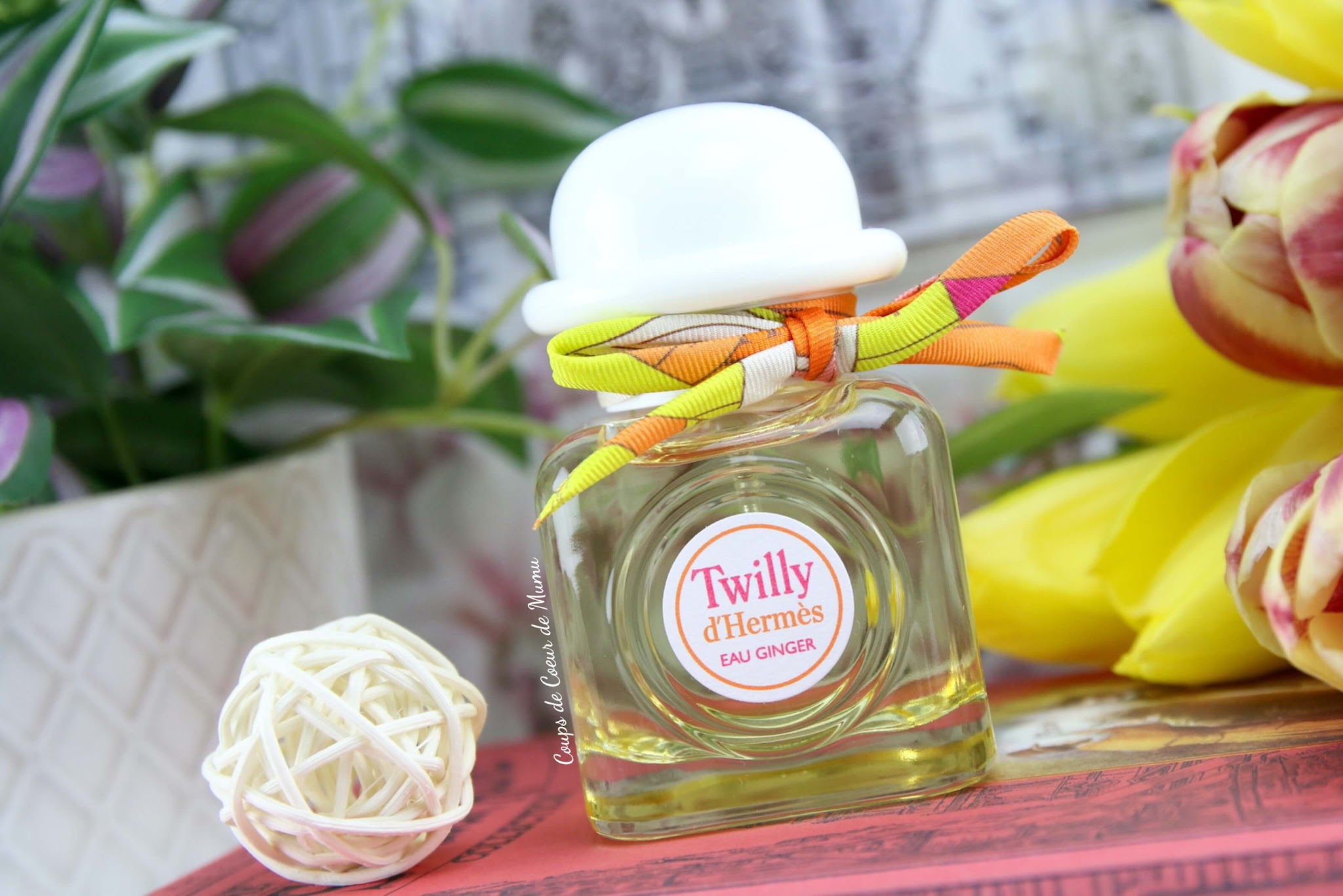 Twilly d'Hermès Eau Ginger, un parfum Joyeux et Pétillant !