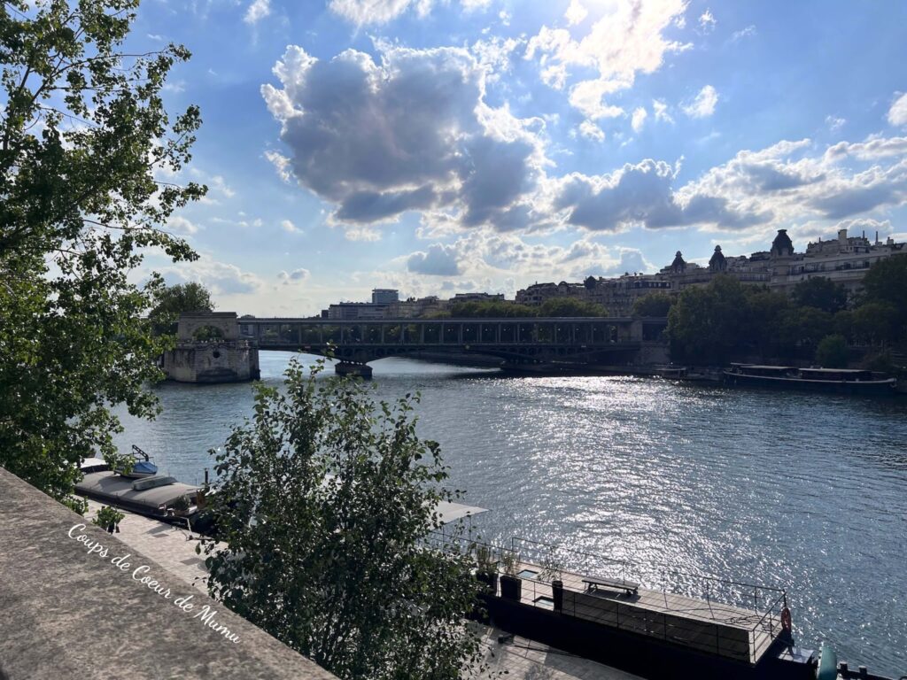 avis-balade-paris-seine