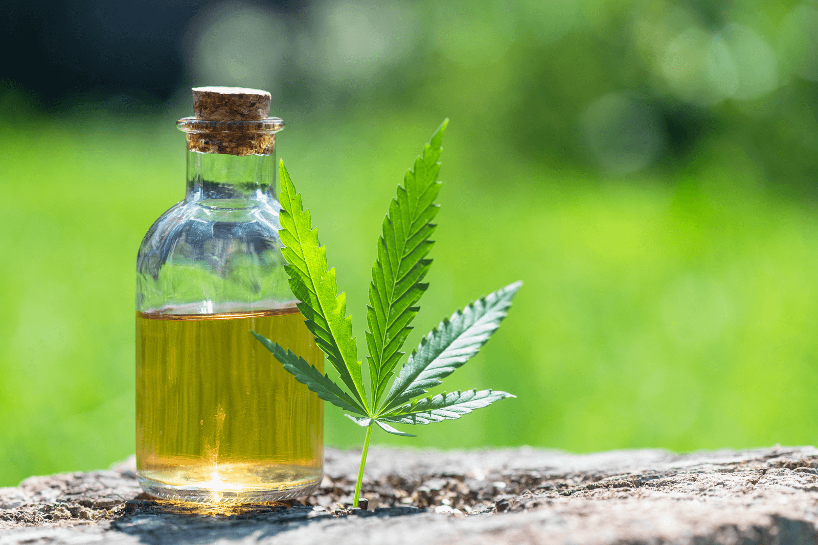 cbd ou cannabidiol