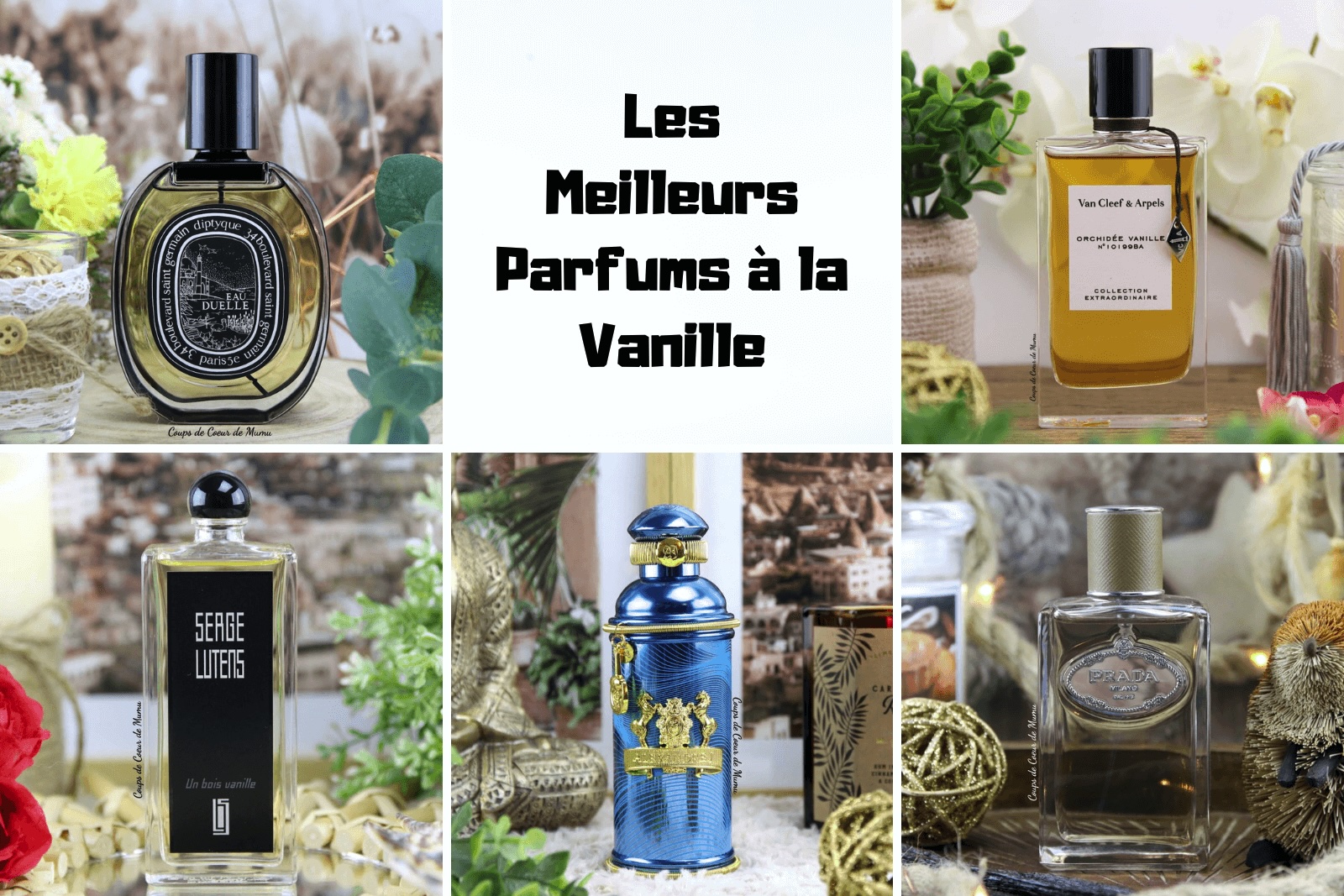 Les meilleurs parfums à la vanille