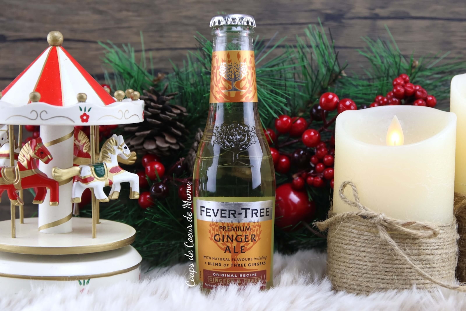 Avis Prémium Ginger Ale Fever-Tree