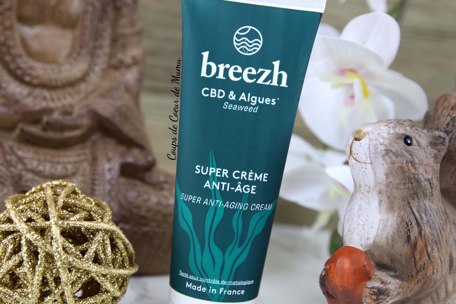 Avis Super Crème Anti-Âge Breezh