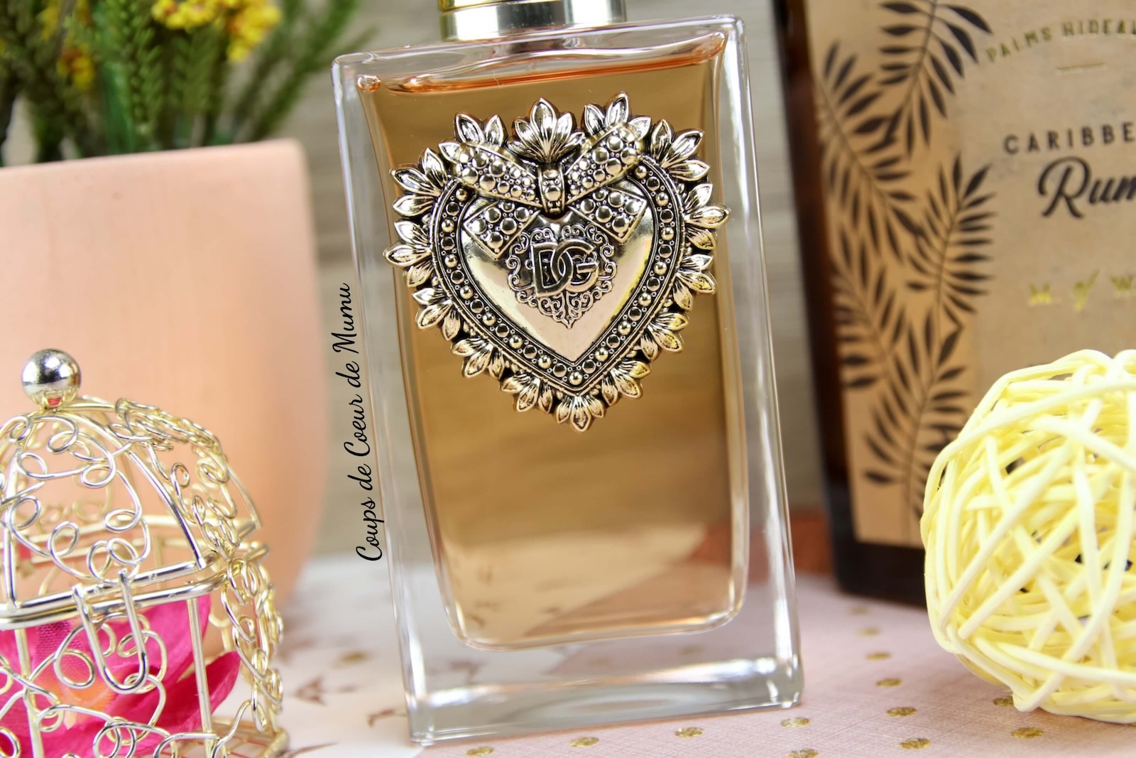 Meilleur parfum femme Devotion de Dolce & Gabbana