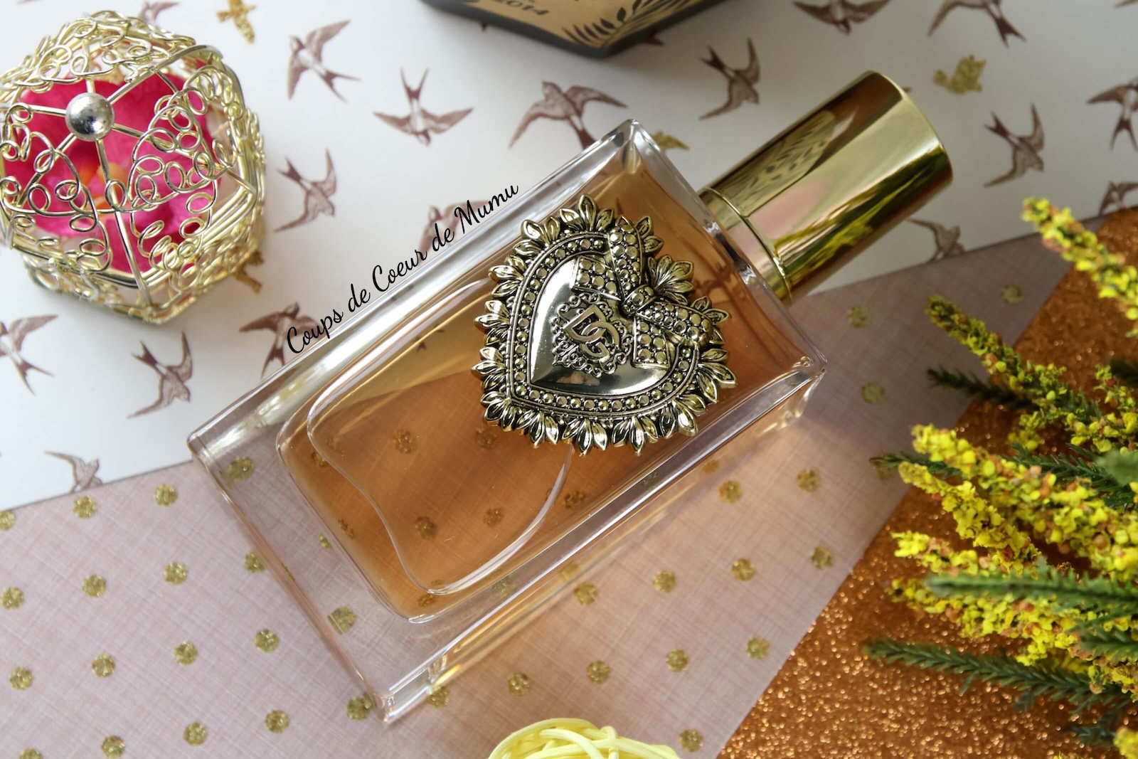 Devotion de Dolce & Gabbana avis nouveau parfum femme