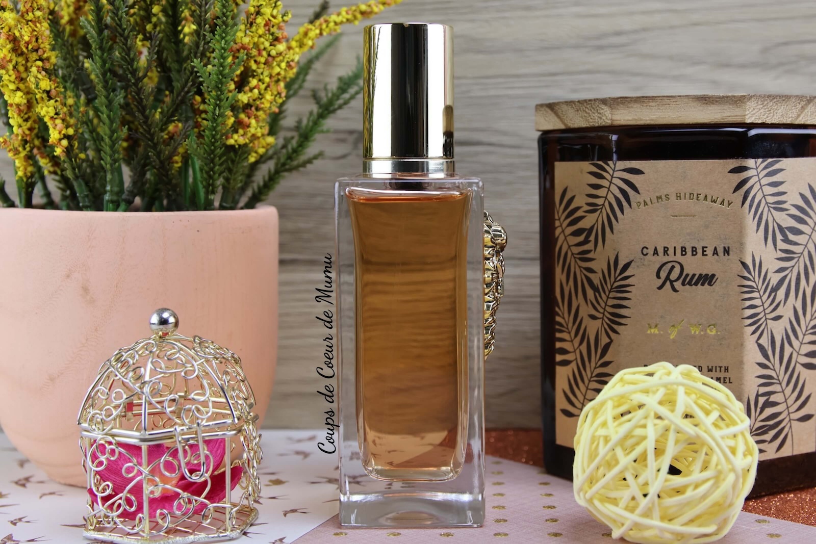 Nouveau parfum femme Devotion de Dolce and Gabbana