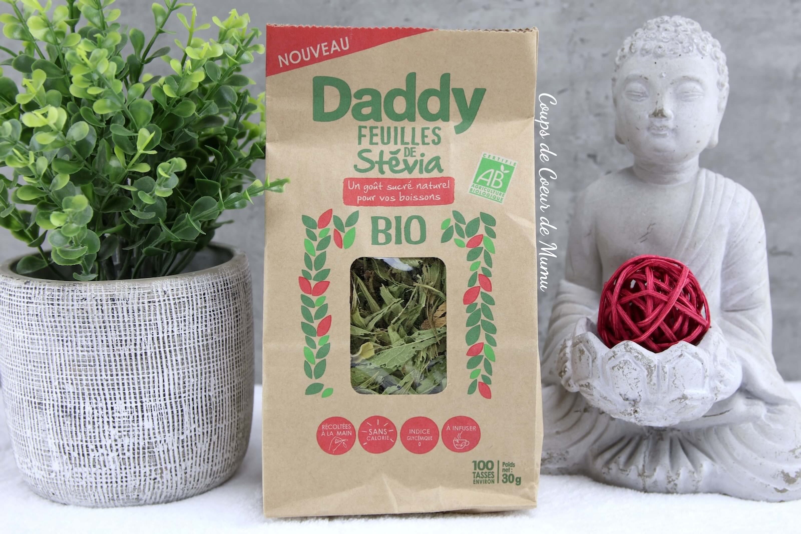 Feuilles de Stévia Bio Daddy