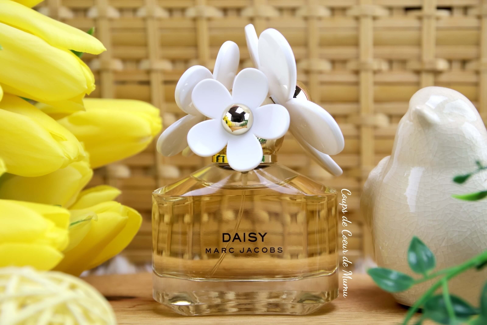 Avis Daisy de Marc Jacobs