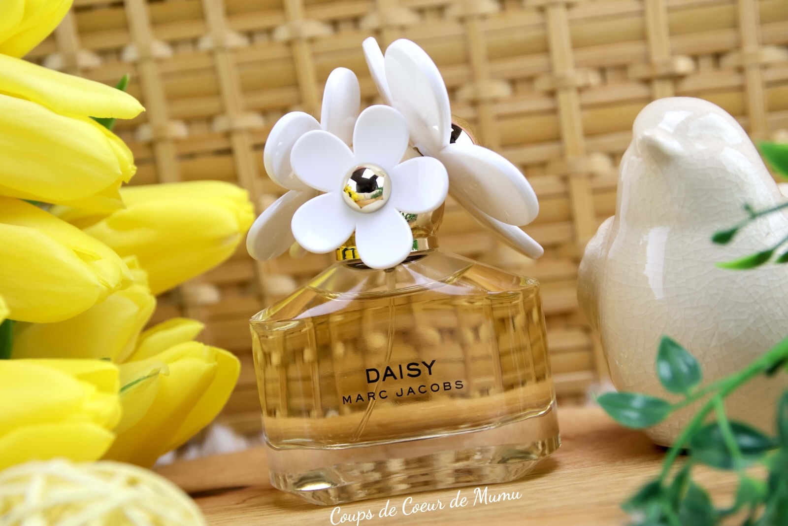 Avis Daisy de Marc Jacobs