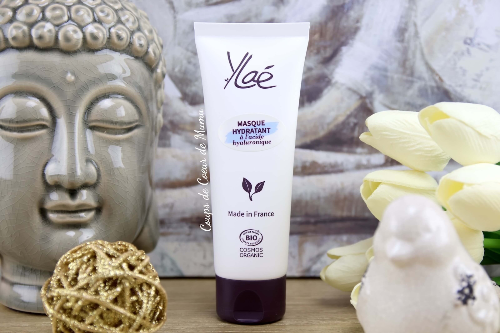 Masque Hydratant Ylaé