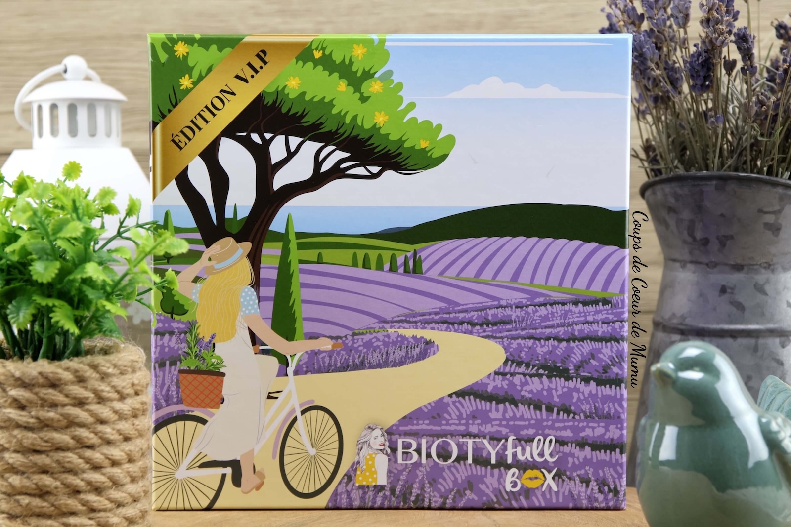 Biotyfull Box Un Air de Sud de Juin 2024 (édition VIP)