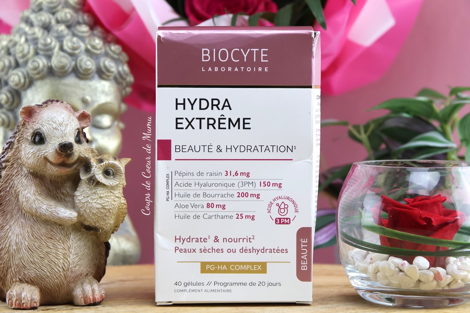 Hydra Extrême Laboratoire Biocyte