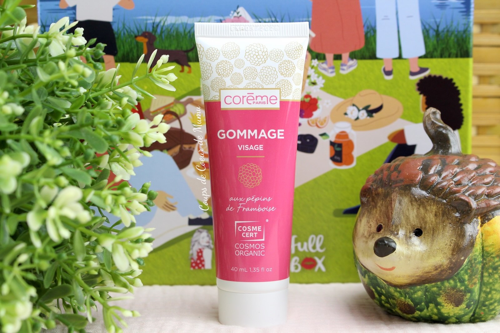 Gommage Visage Corème Paris