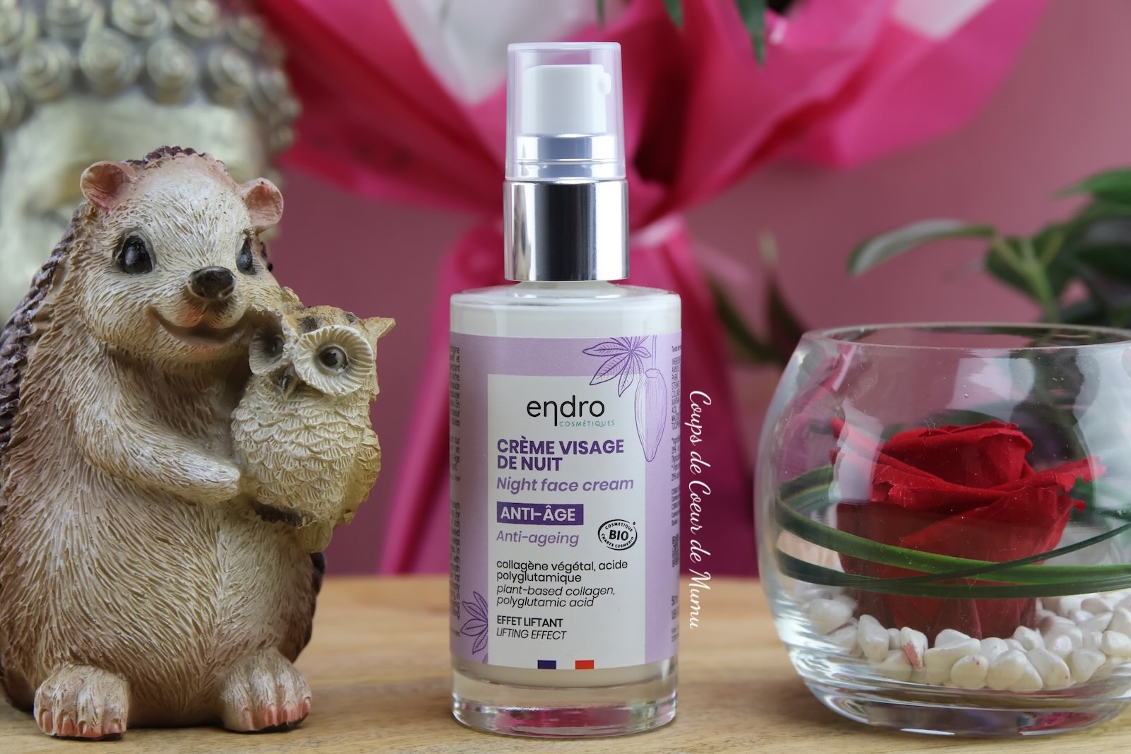 Crème Visage Nuit Endro Cosmétiques