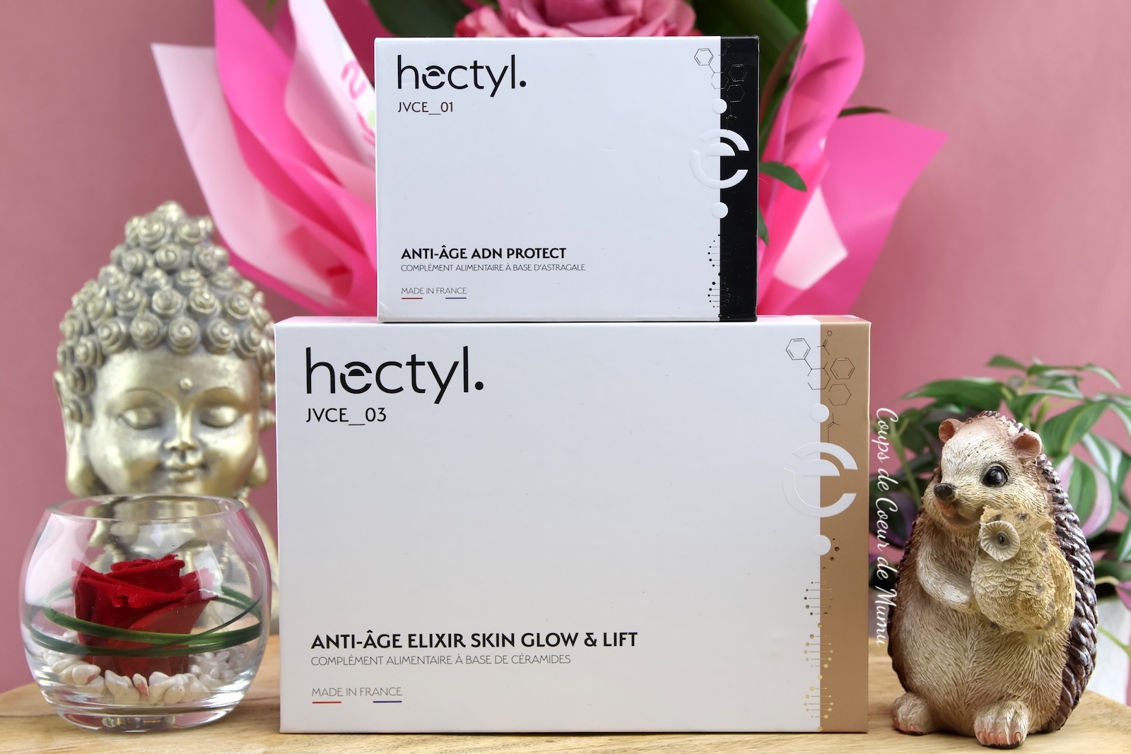 Complémentaires Anti-Âge Hoctyl