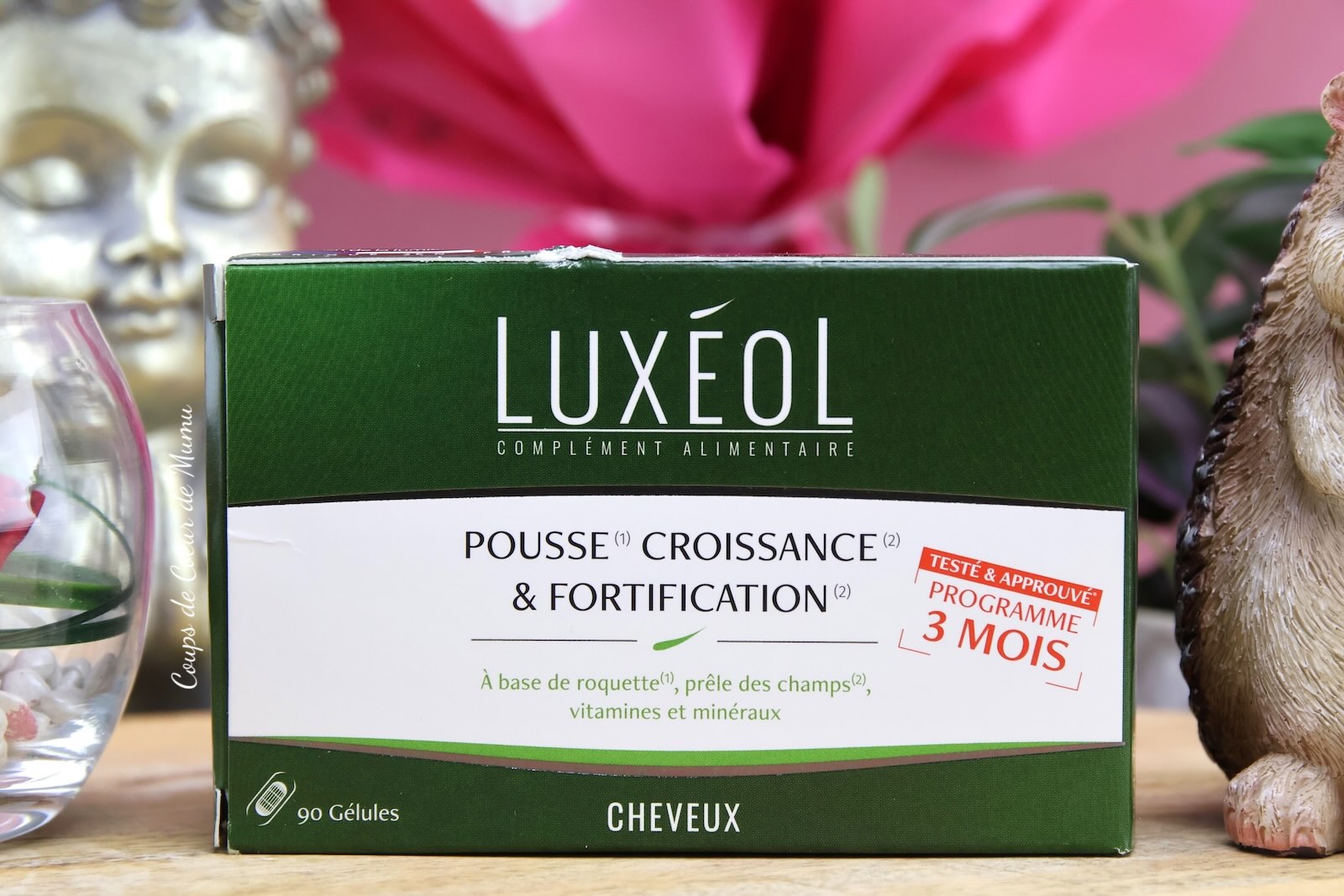 Pousse, Croissance et Fortification Luxéol