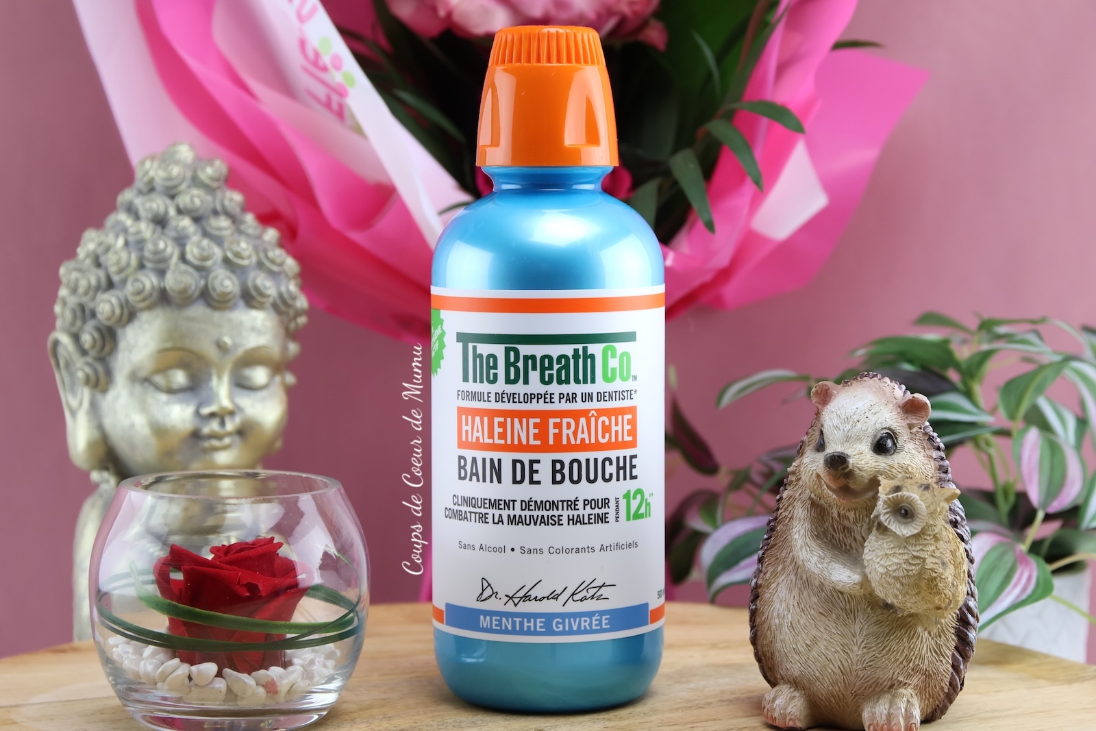 Bain de Bouche Haleine Fraîche The Breath Co