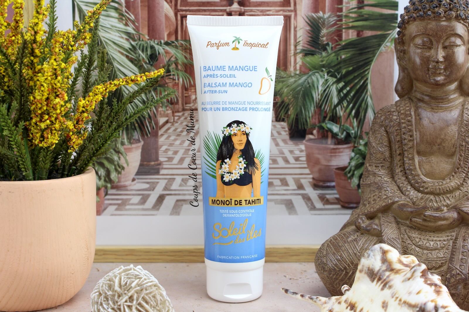 Baume Corps Après-Soleil à la Mangue Soleil des Îles