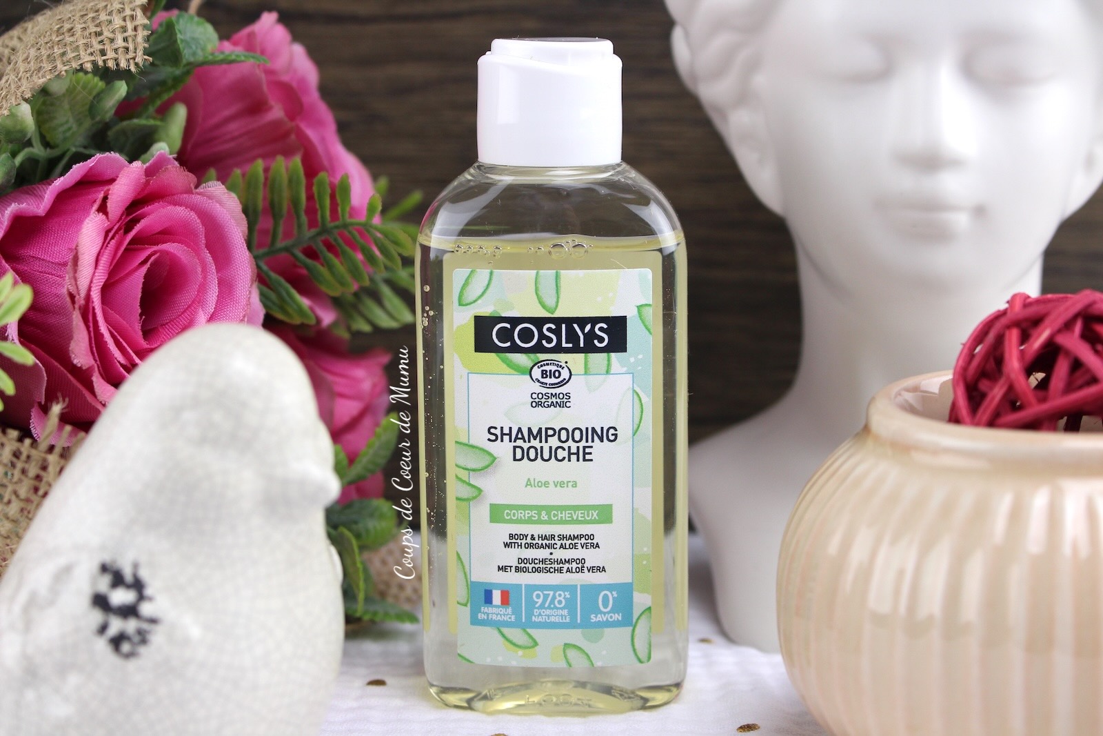 Shampooing Douche Aloe Vera Bio Coslys
