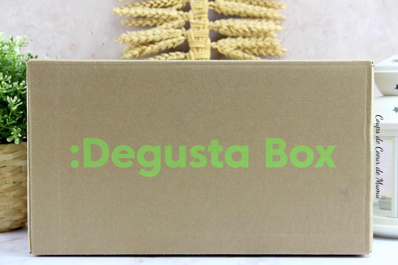 Degusta Box Apéro et Barbecue de Juin 2025