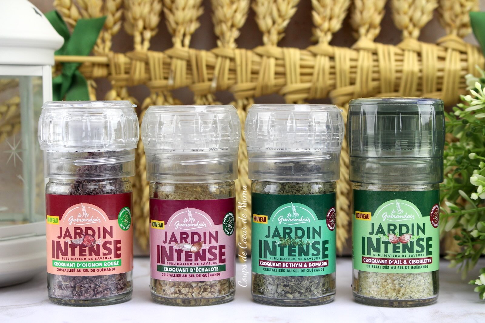 Jardin Intense Le Guérandais