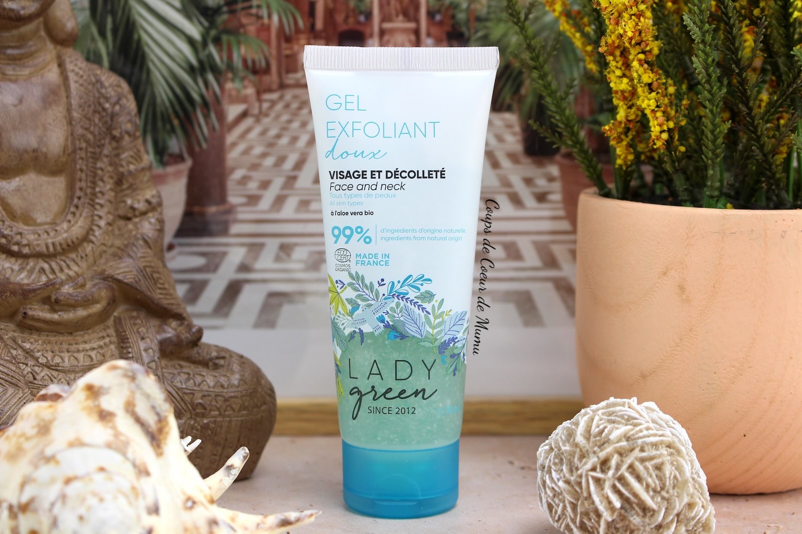 Exfoliant Visage Doux Lady Green