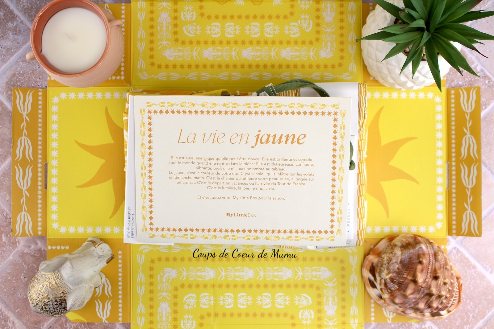 My Little Box Juin et Juillet 2025 - Double Box La Vie en Jaune (+ Code Promo)