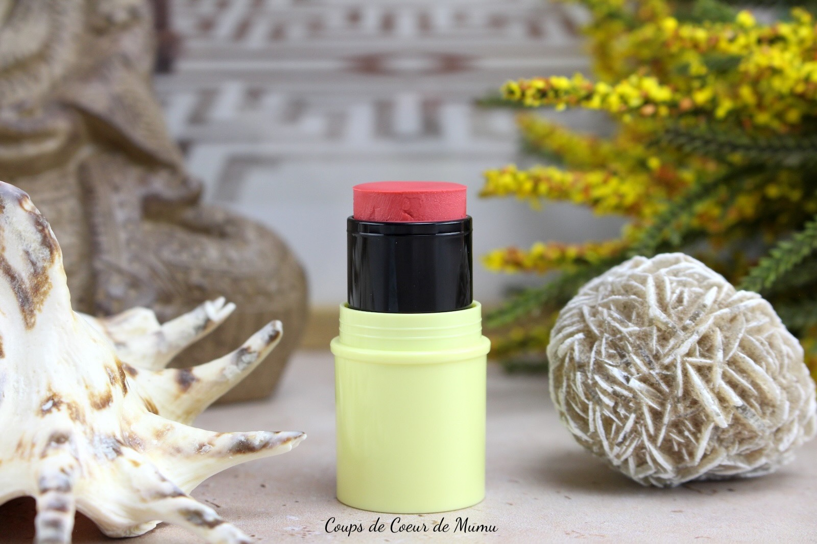 Baume 2-en-1 Lèvres et Blush Pomponne