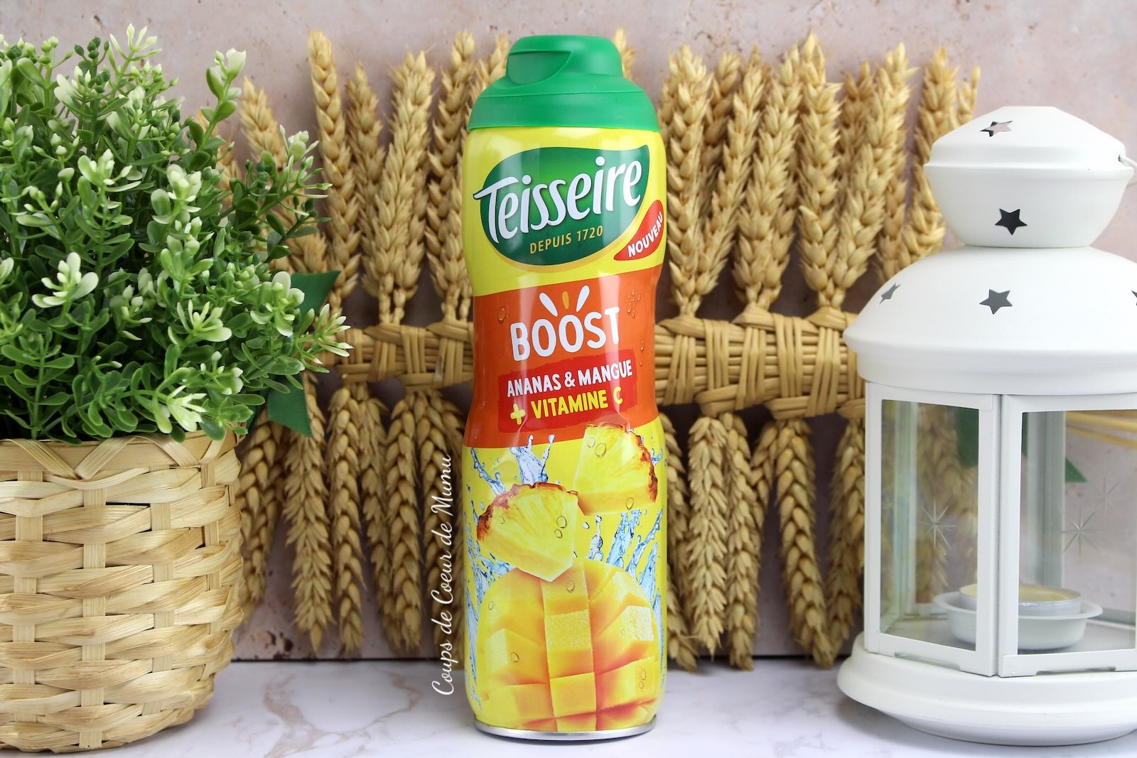 Sirop Boost Teisseire