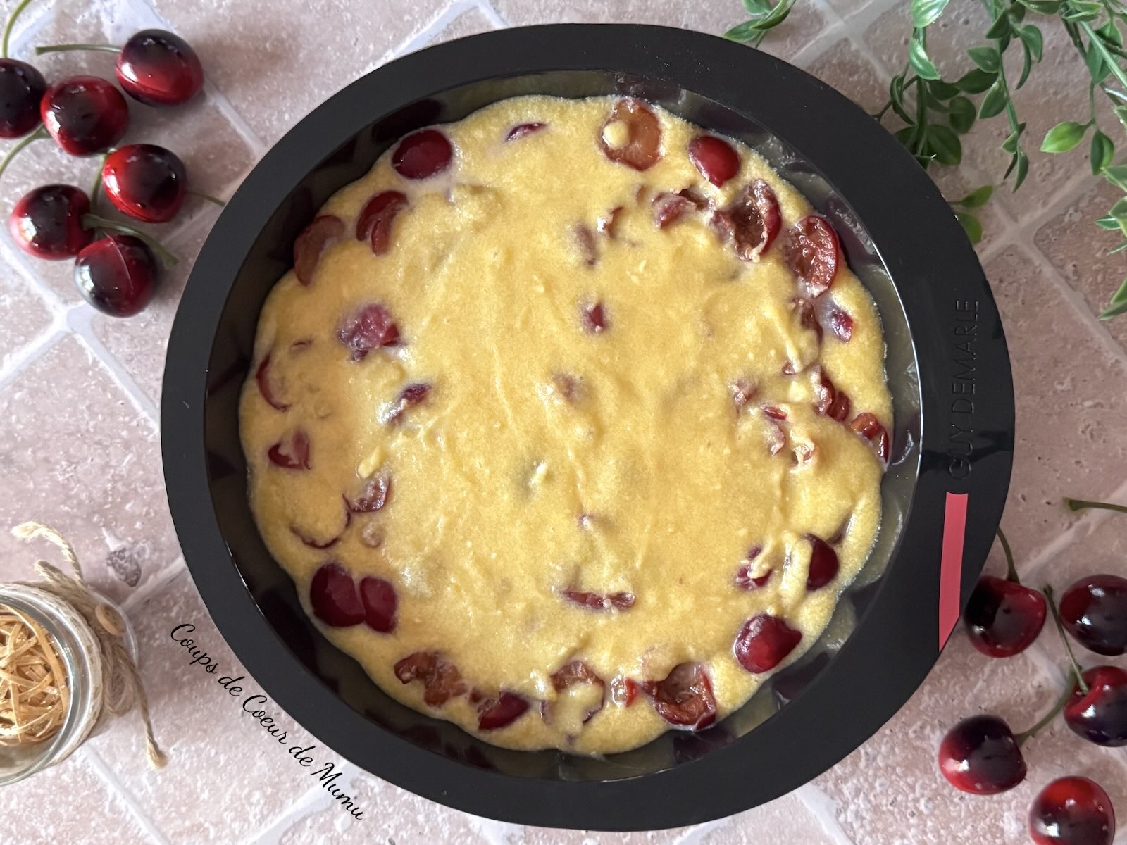 Recette conseillère Guy Demarle