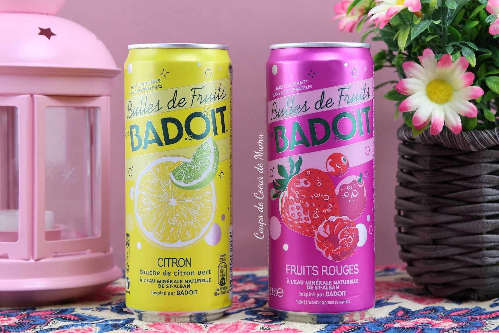 Badoit Bulles de Fruits