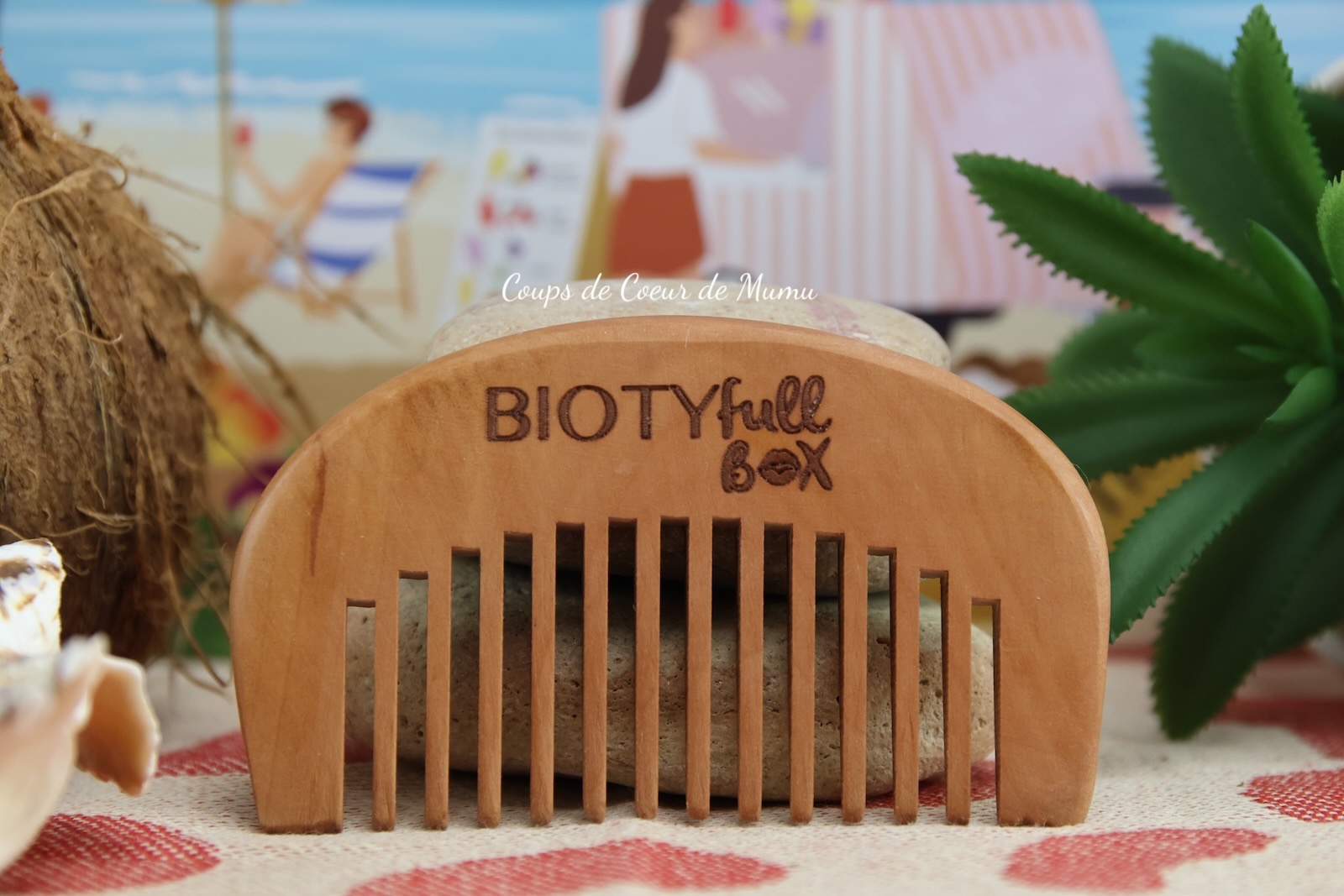 Peigne en bois Biotyfull Box