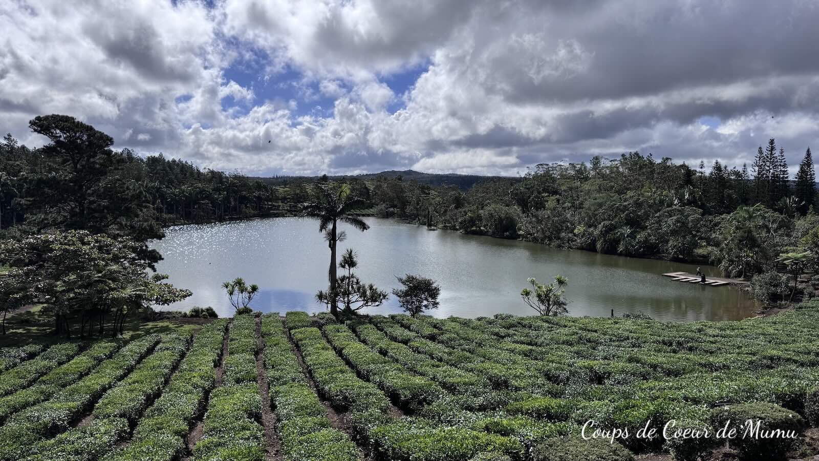 Domaine Bois Chéri Île Maurice