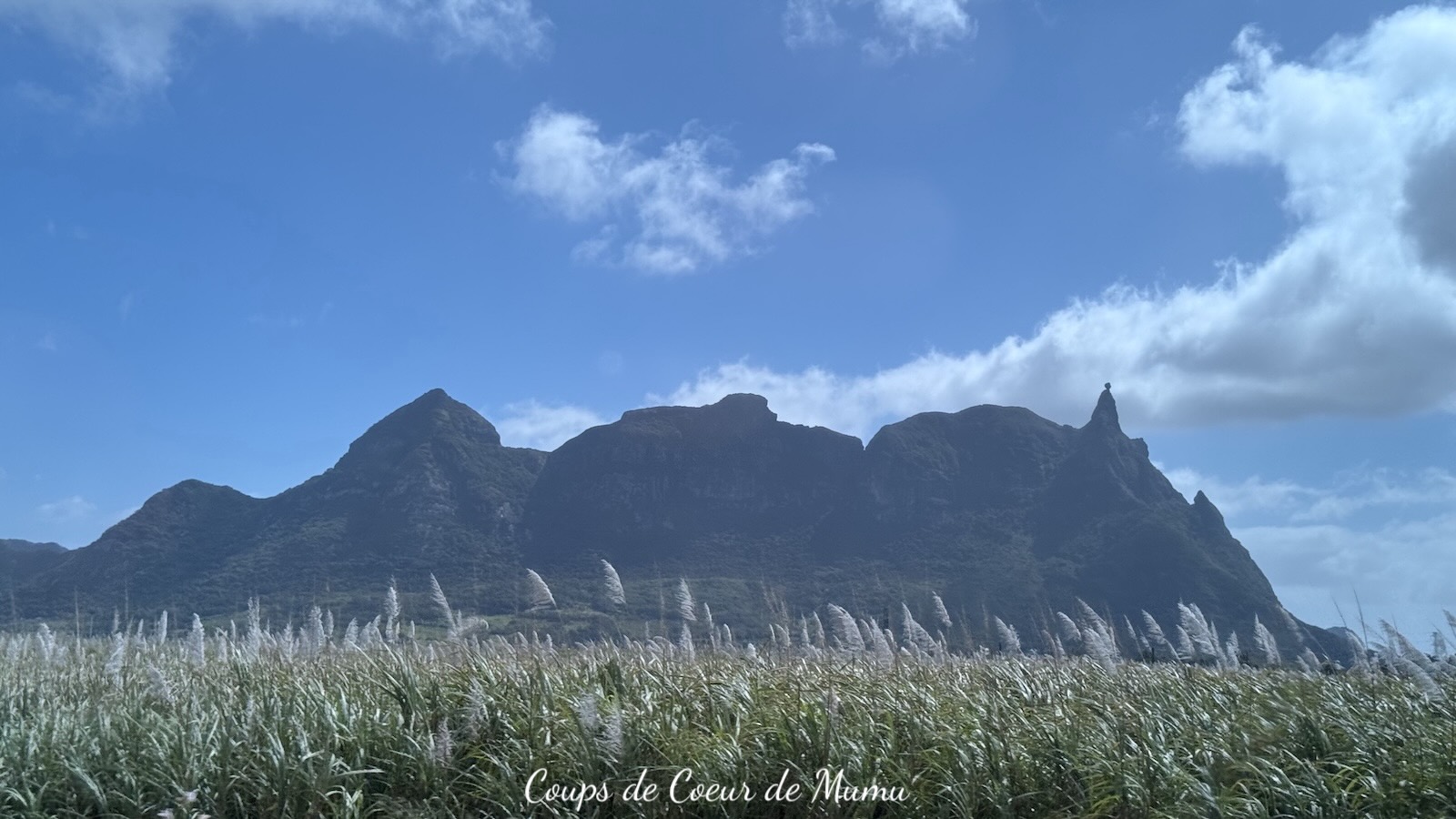Vue montagnes et canne à sucre Île Maurice