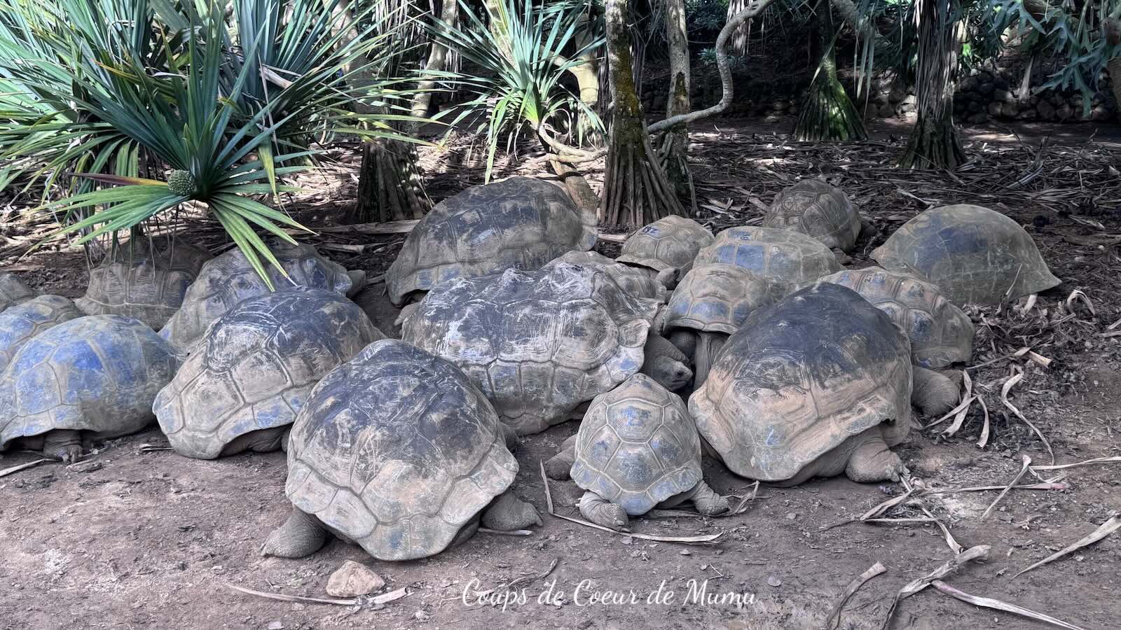 Vanille Nature Park Île Maurice