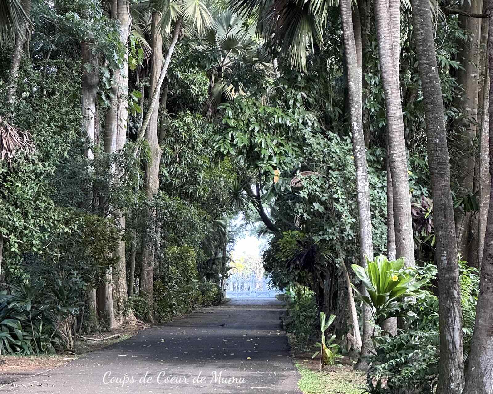 Voyage Île Maurice Jardin de Pamplemousses