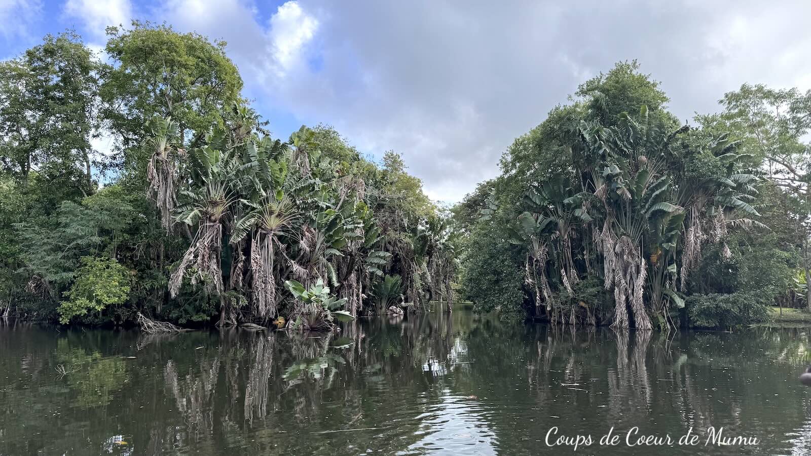 Voyage Île Maurice anniversaire de mariage Jardin de Pamplemousses