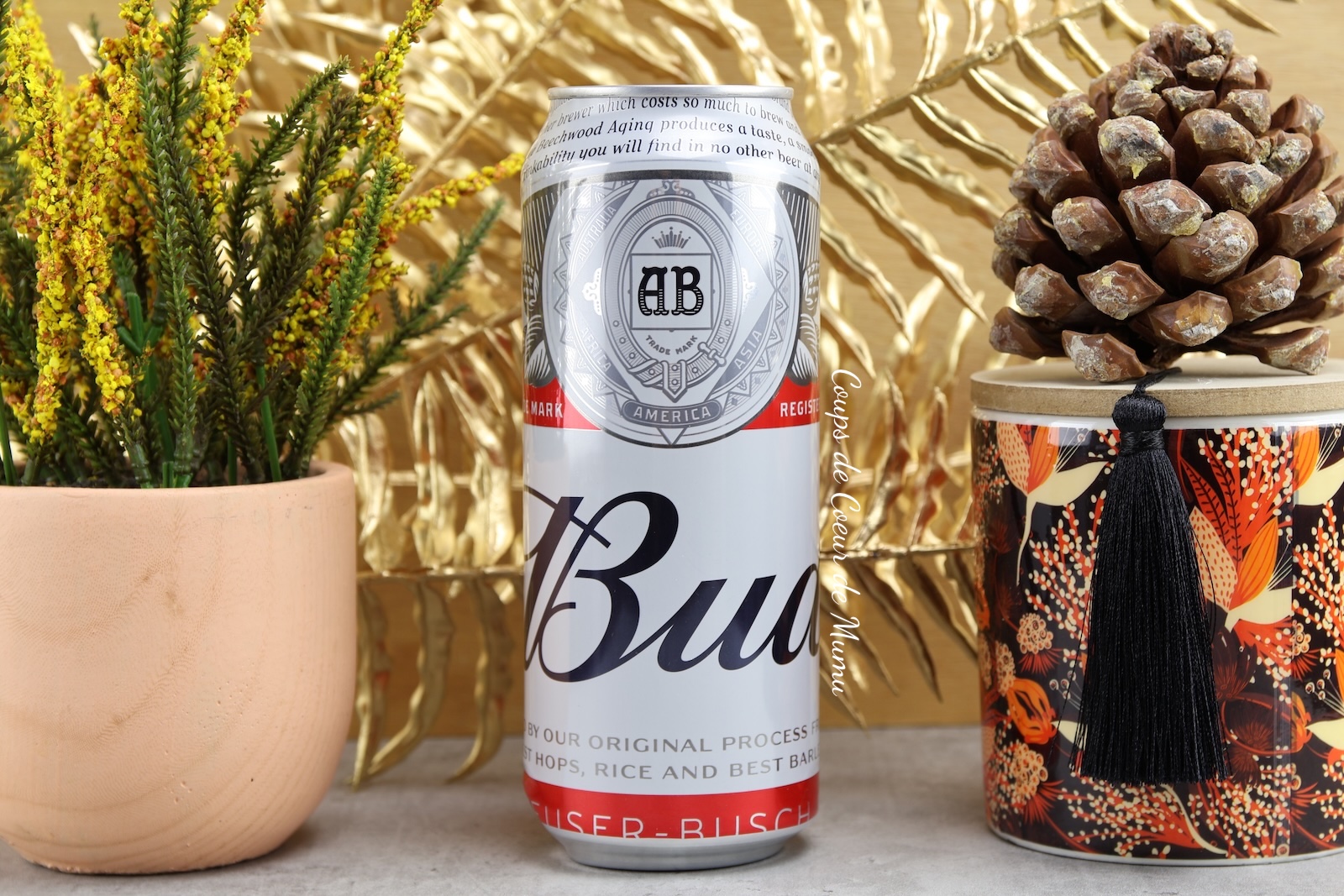 Bud Bière Blonde