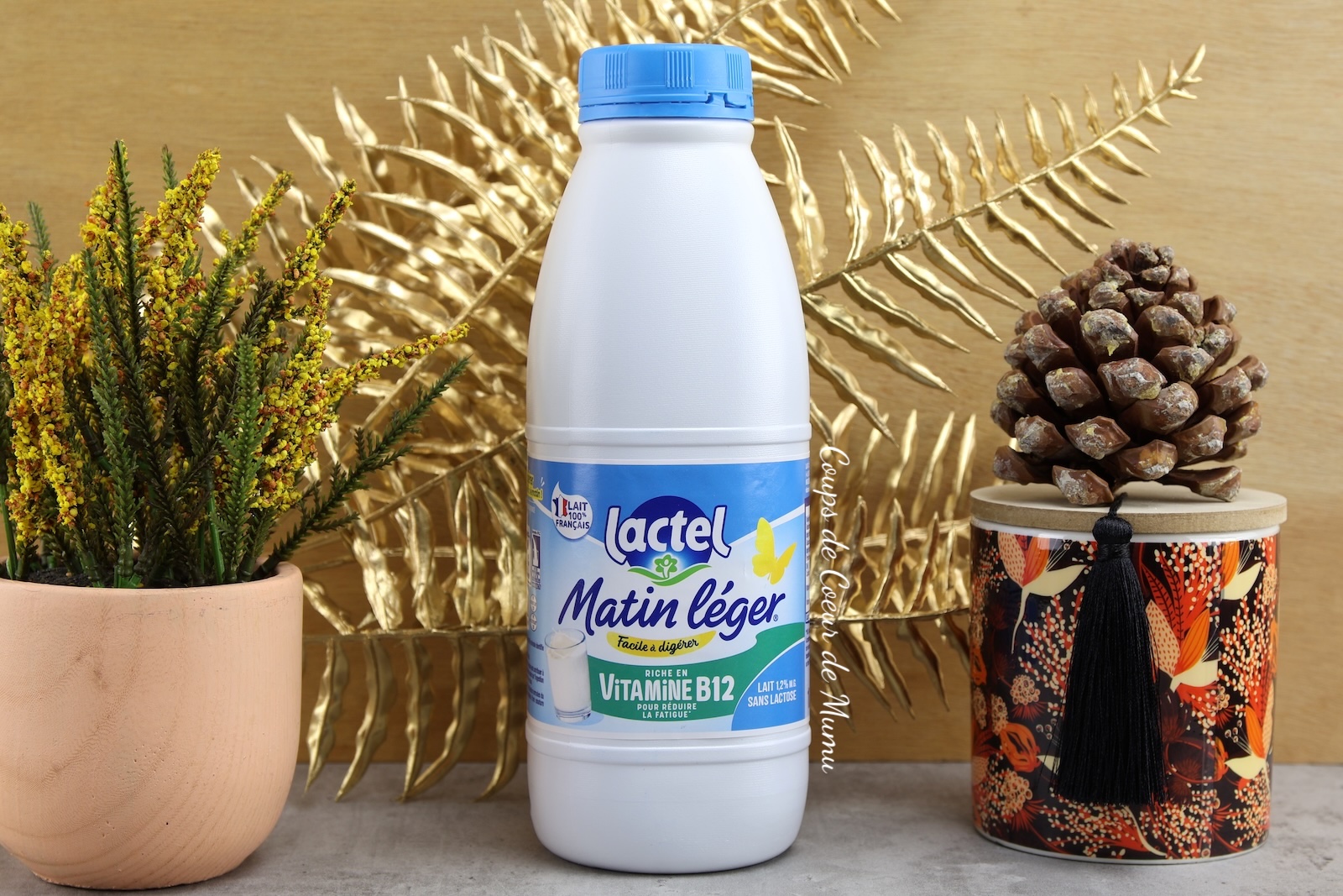 Matin Léger Vitamine B12 de Lactel