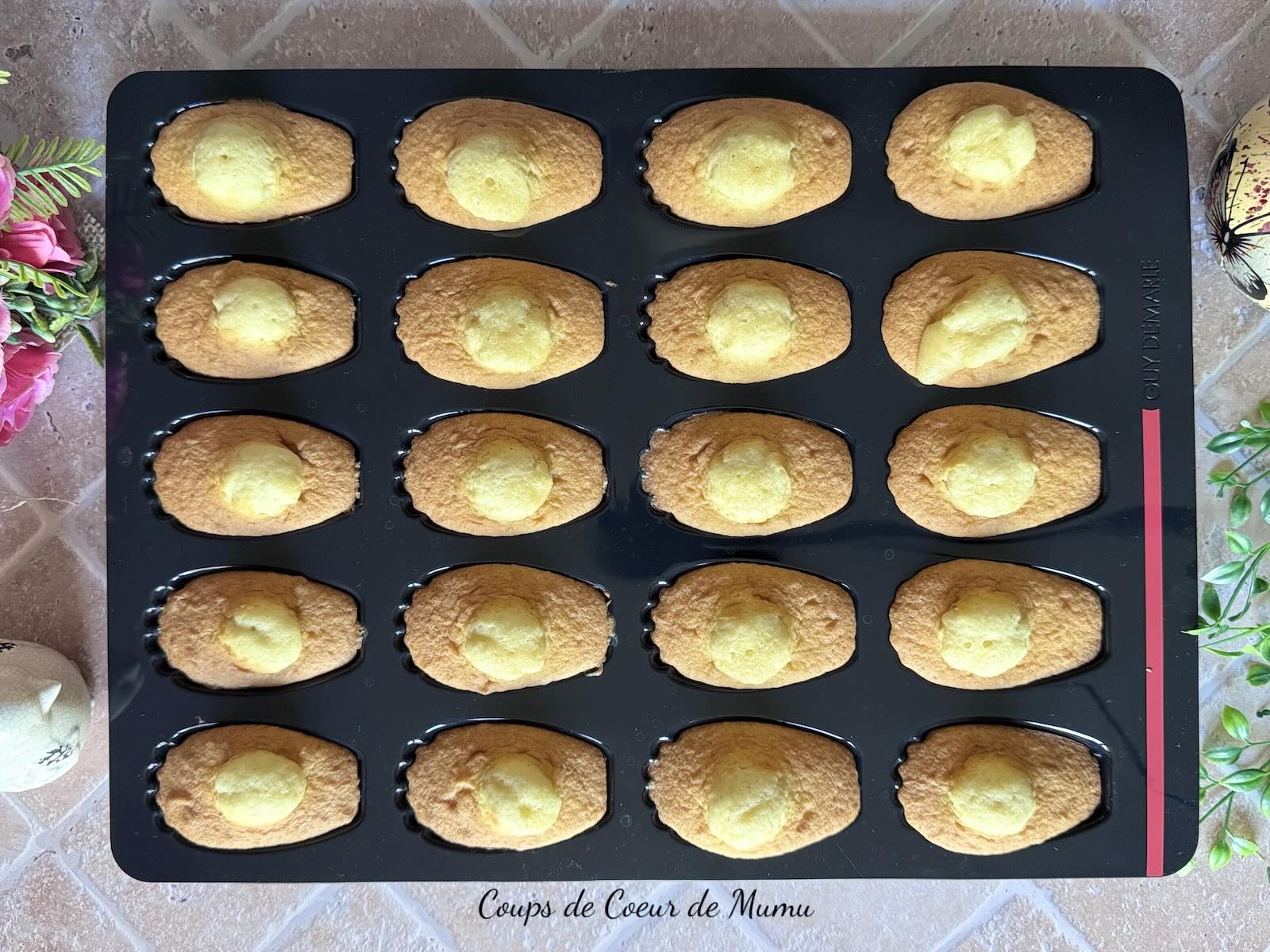 Madeleines avec le Moule 20 Madeleines Guy Demarle