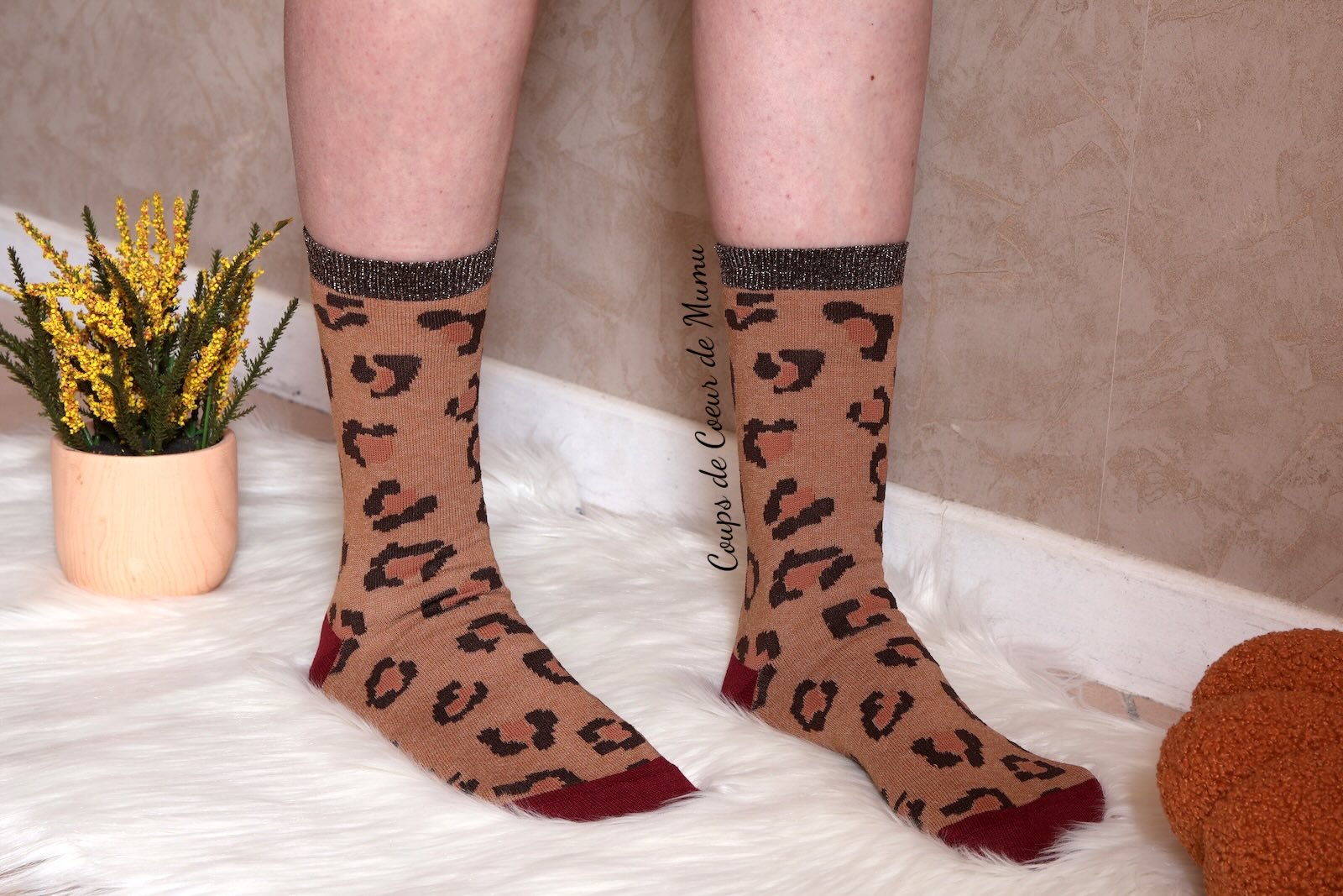 Chaussettes Annie Gambettes Box Octobre 2025