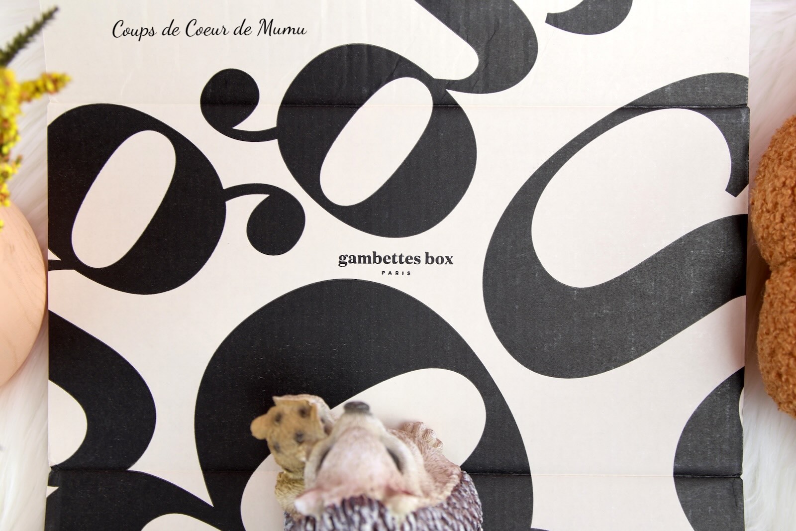 Gambettes Box Spéciale Chaussettes d'Octobre 2025