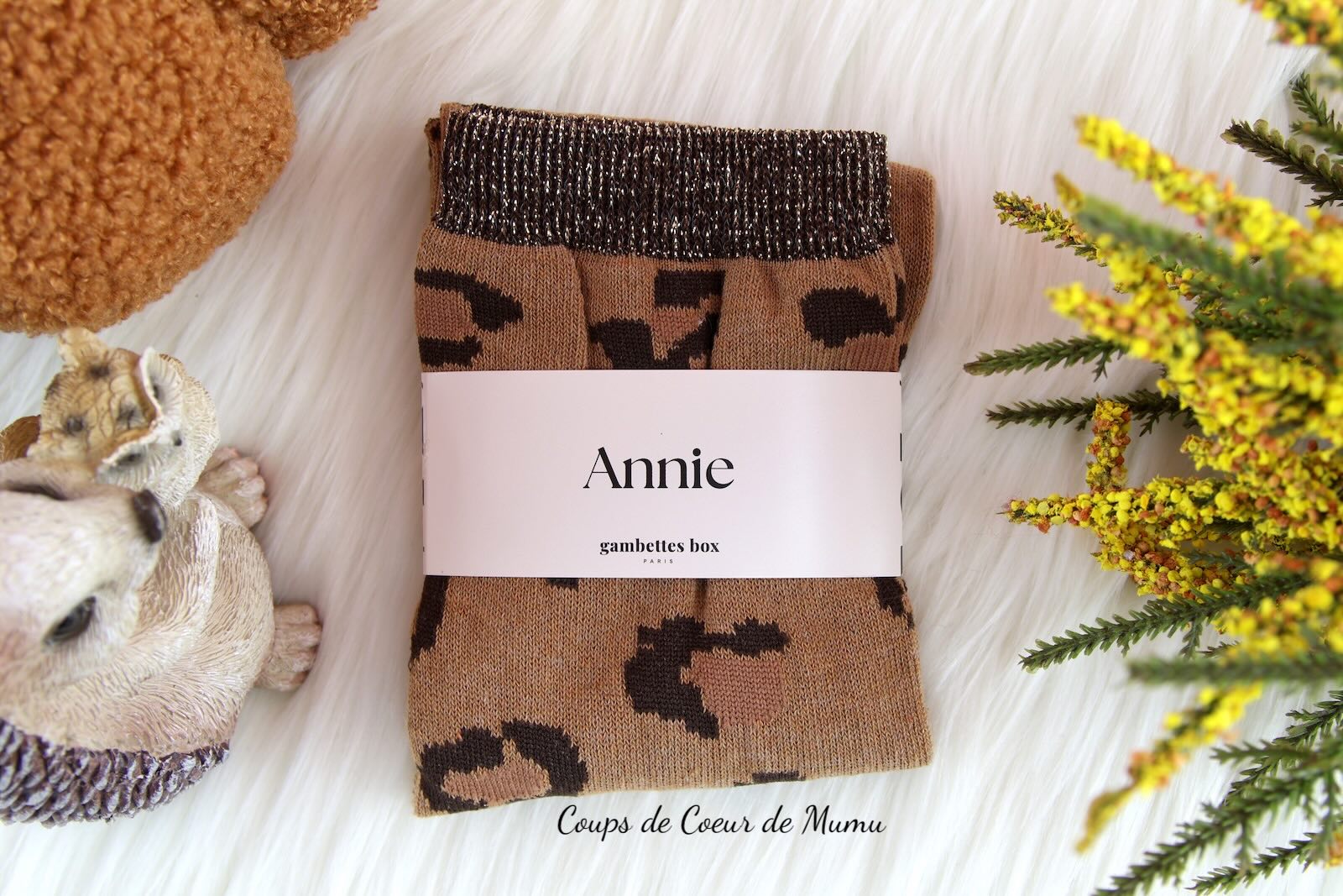 Chaussettes Annie Gambettes Box Octobre 2025