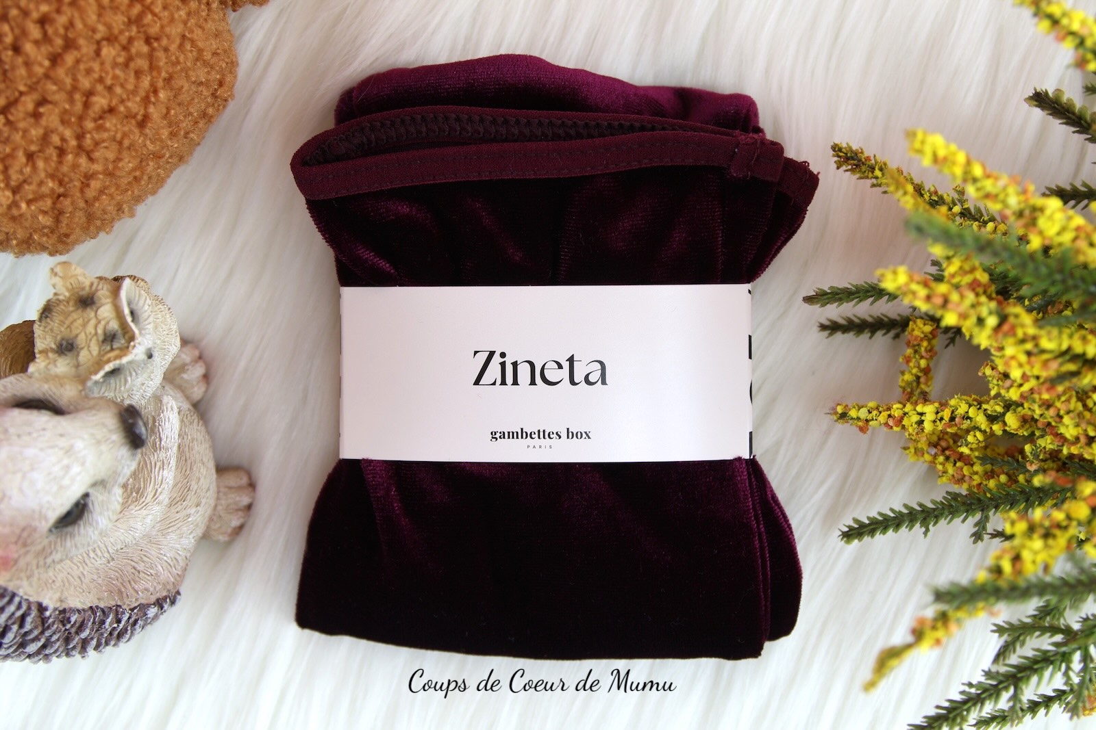 Chaussettes Zenita Gambettes Box Octobre 2025