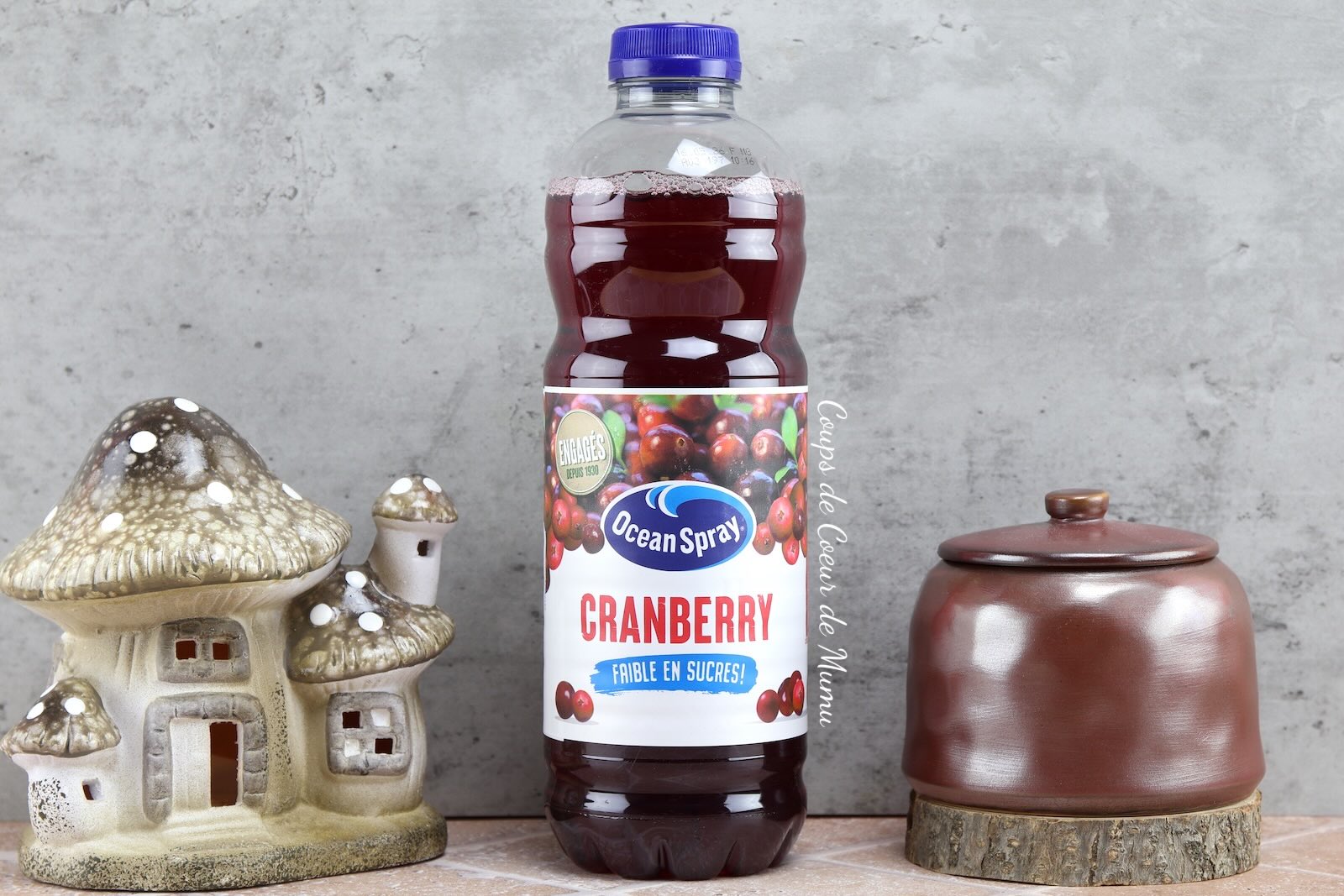 avis-cranberry-ocean-spray