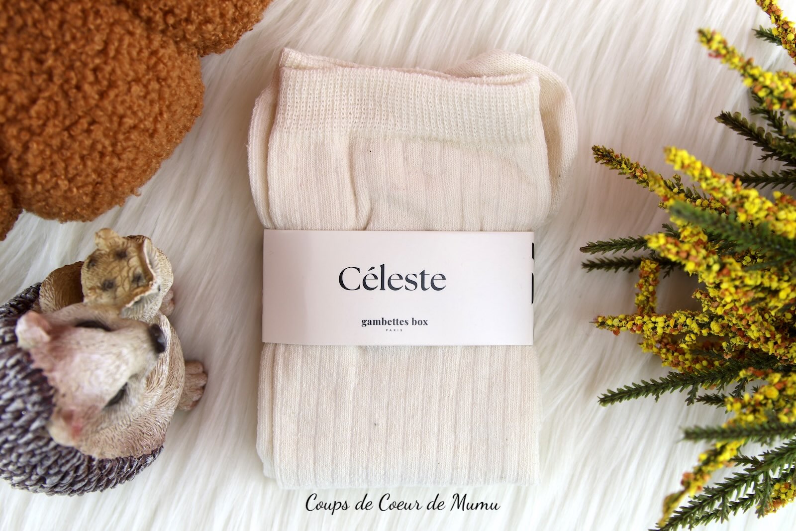 Chaussettes Céleste Gambettes Box Octobre 2025