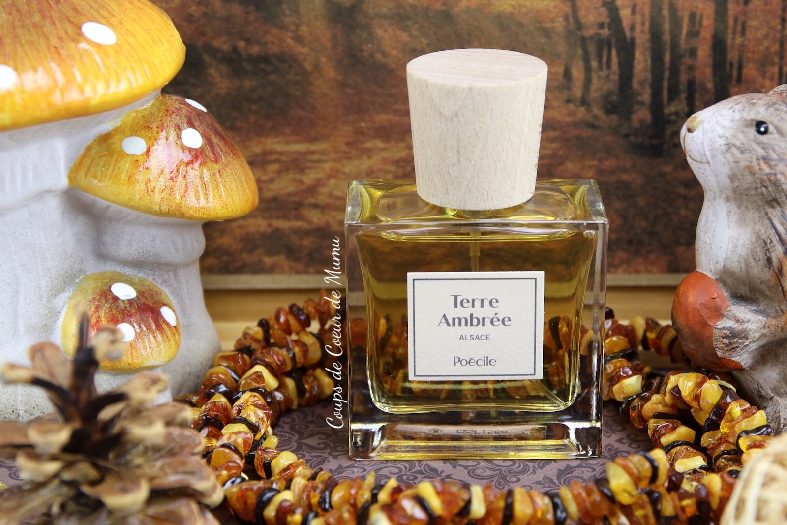 Un Automne en Alsace avec le parfum Terre Ambrée de Poécile