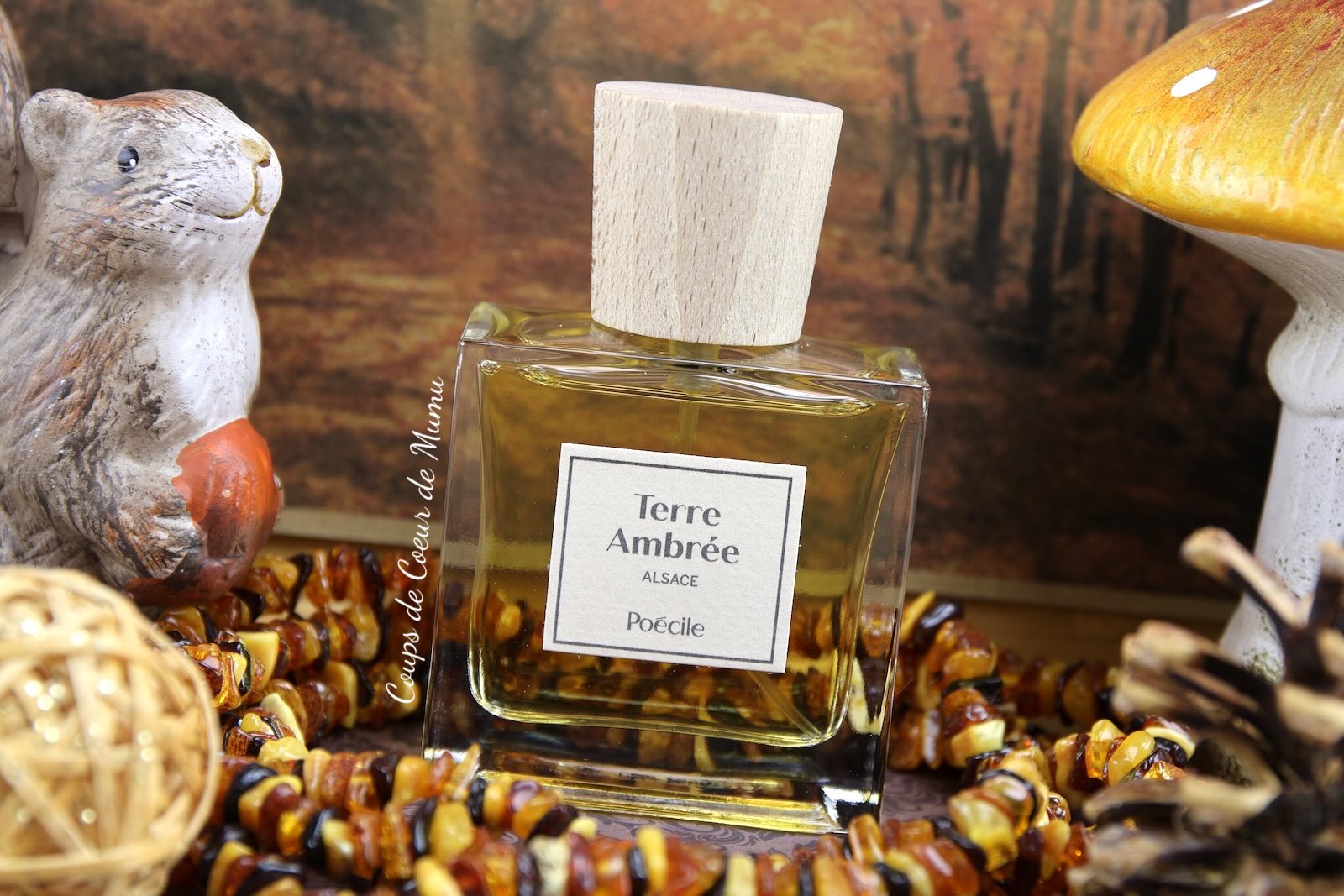 Terre Ambrée de Poécile