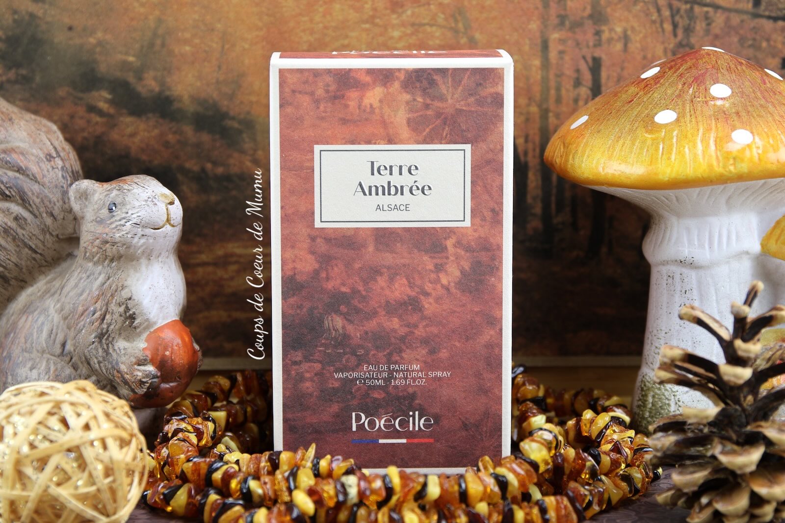 avis-parfum-mixte-terre-ambree-poecile