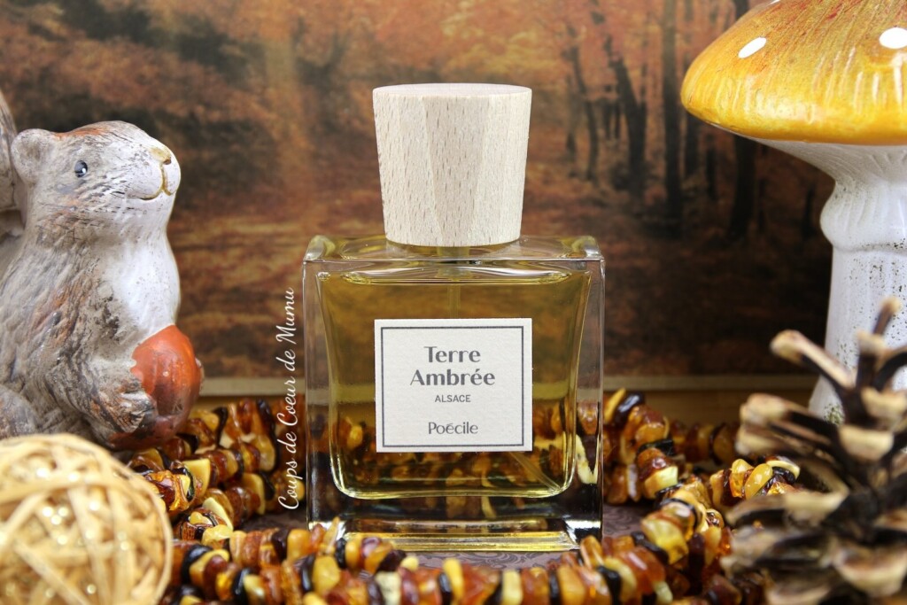 Un Automne en Alsace avec le parfum Terre Ambrée de Poécile